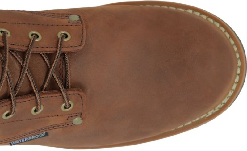 Carolina CA4821 BROWN 8IN LOGGER 600GM