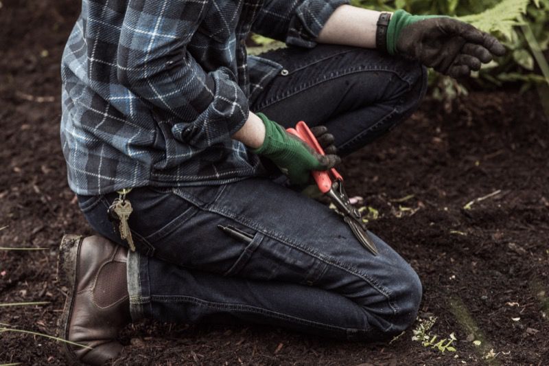 Dovetail Maven Slim Pant-Indigo Stretch - DWF18P1D-502