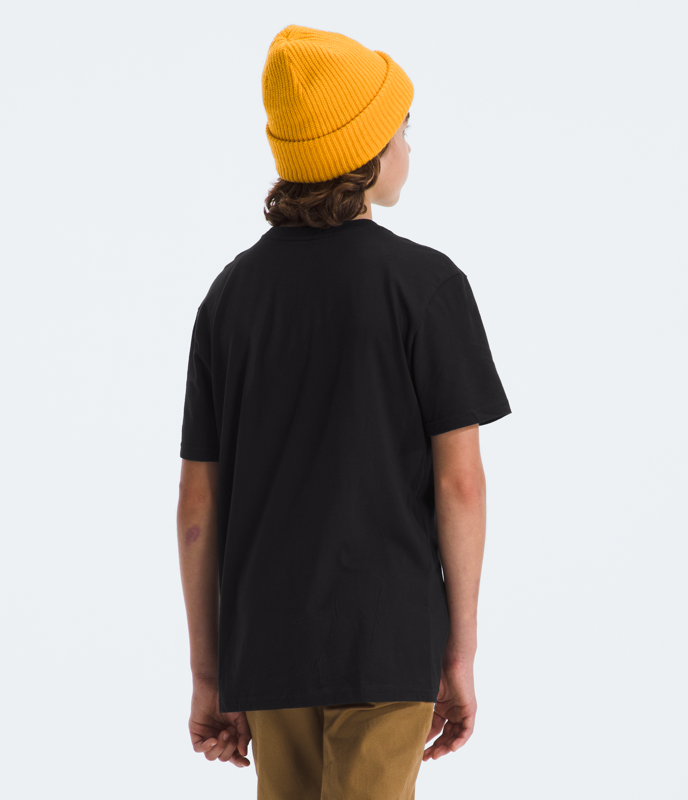 The North Face NF0A8A3Z Bs Short Sleeve Graphic Tee