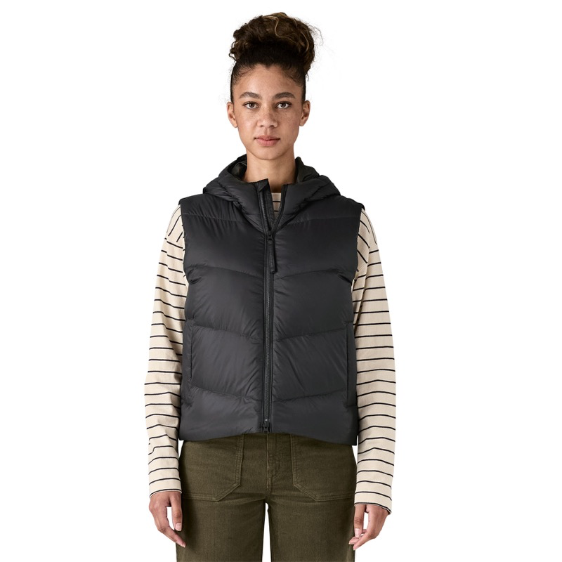Patagonia 29495 Wmns Sindit Vest