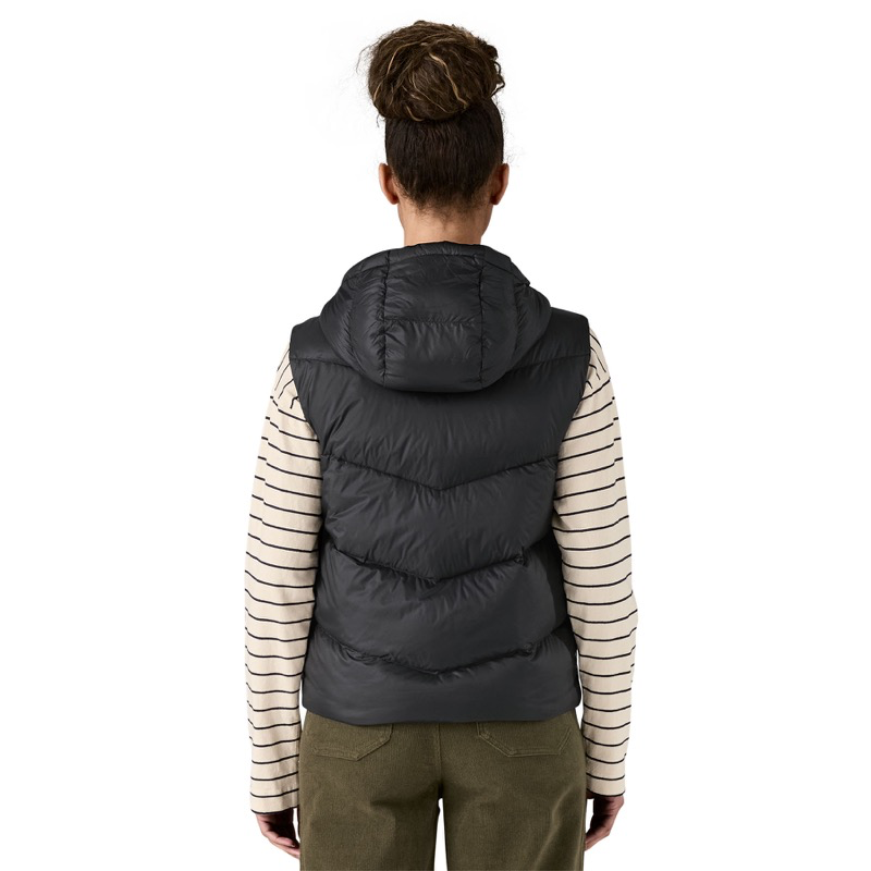Patagonia 29495 Wmns Sindit Vest