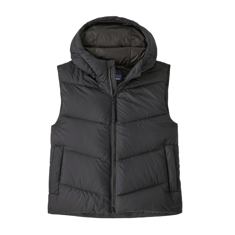 Patagonia 29495 Wmns Sindit Vest