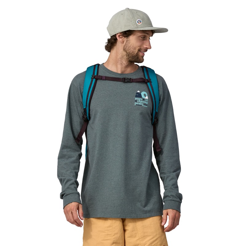 Patagonia 49298 Black Hole Pack 25L