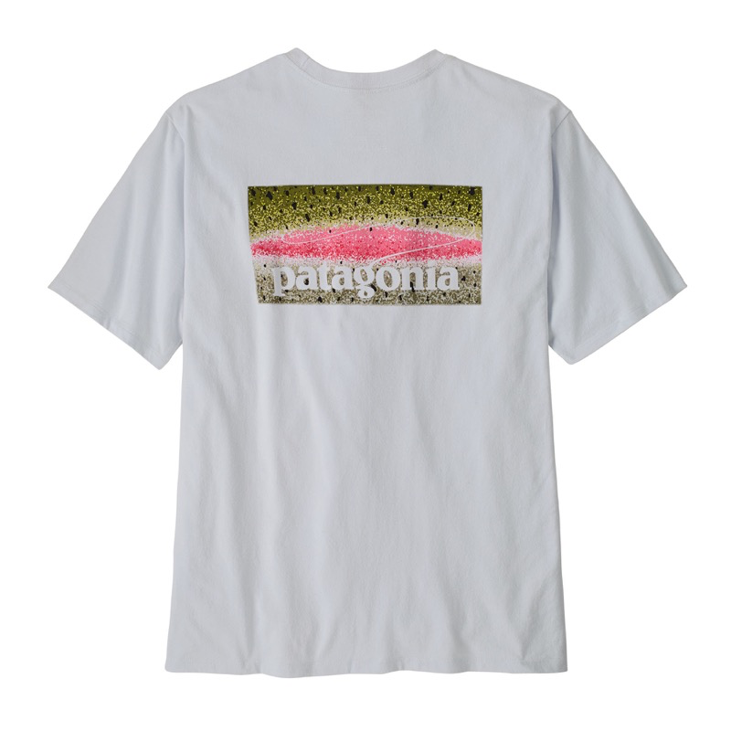 Patagonia - M's Take a Stand Responsibili-Tee - 37591