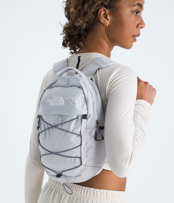 The North Face NF0A52SW Borealis Mini Backpack
