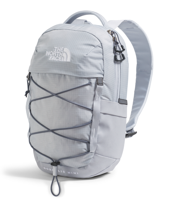 The North Face NF0A52SW Borealis Mini Backpack