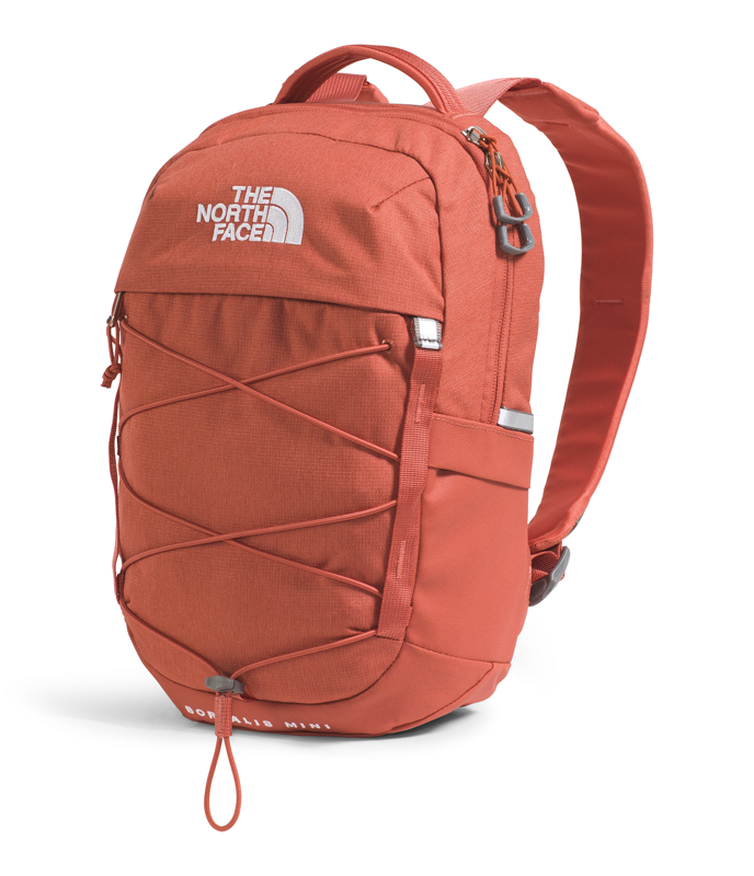 The North Face NF0A52SW Borealis Mini Backpack