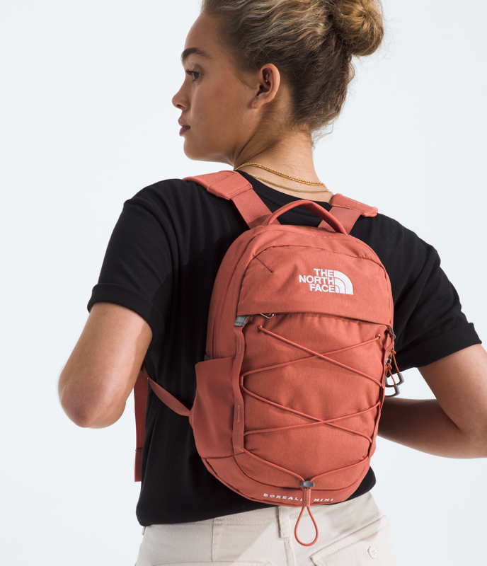 The North Face NF0A52SW Borealis Mini Backpack