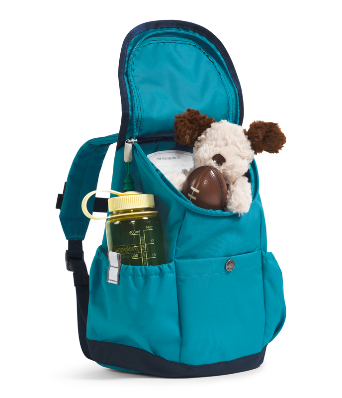 The North Face NF0A52VW Youth Mini Explorer