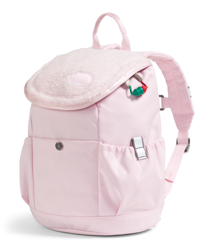 The North Face NF0A52VW Youth Mini Explorer