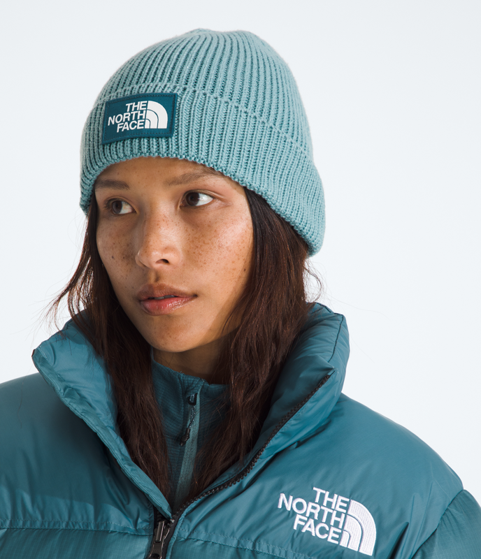 The North Face NF0A8CHE TNF Logo Box Cuffed Beanie