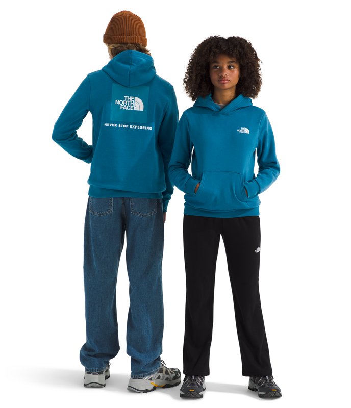 The North Face NF0A8CV5 Teen Evolution NSE Pullover Hoodie