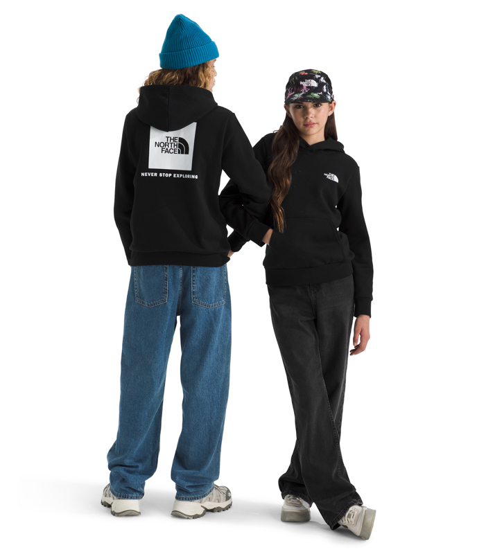 The North Face NF0A8CV5 Teen Evolution NSE Pullover Hoodie