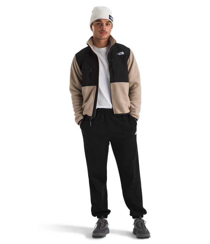 The North Face NF0A8CWU Mens Evolution Simple Dome Pant