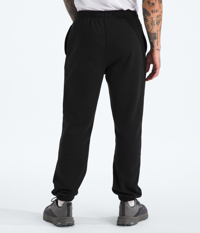 The North Face NF0A8CWU Mens Evolution Simple Dome Pant