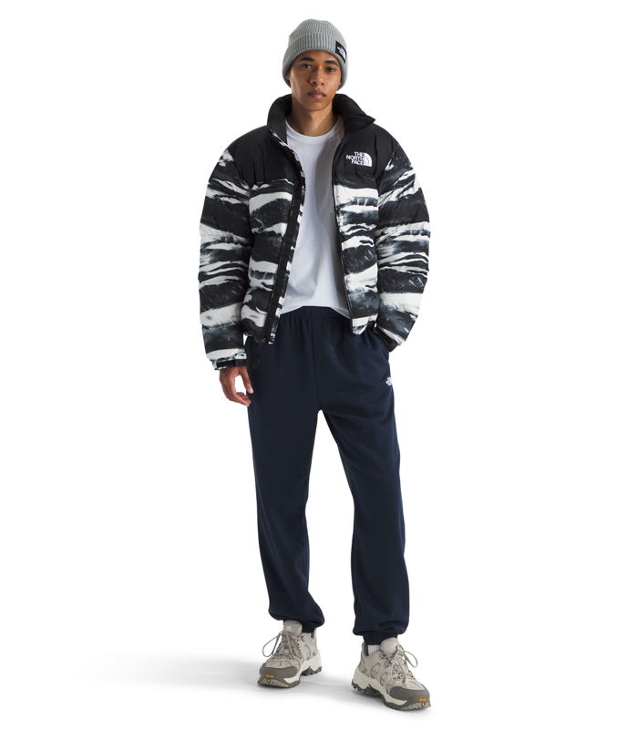 The North Face NF0A8CWU Mens Evolution Simple Dome Pant