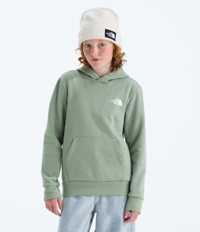 The North Face NF0A8CZC Teen Evolution NSE Pullover Hoodie-Graphic
