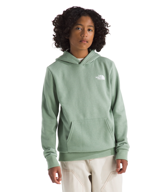 The North Face NF0A8CZC Teen Evolution NSE Pullover Hoodie-Graphic