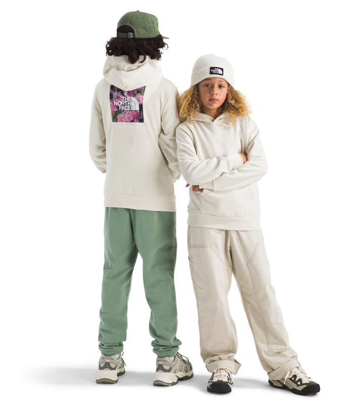 The North Face NF0A8CZC Teen Evolution NSE Pullover Hoodie-Graphic