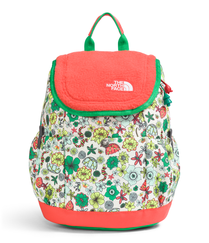 The North Face NF0A52VW Youth Mini Explorer
