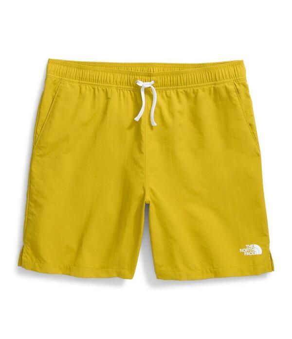 The North Face NF0A87TJ Ms Action Short 2.0 Short Inseam