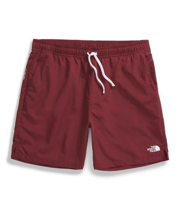 The North Face NF0A87TJ Ms Action Short 2.0 Short Inseam
