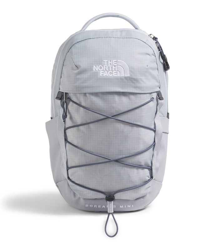 The North Face NF0A52SW Borealis Mini Backpack