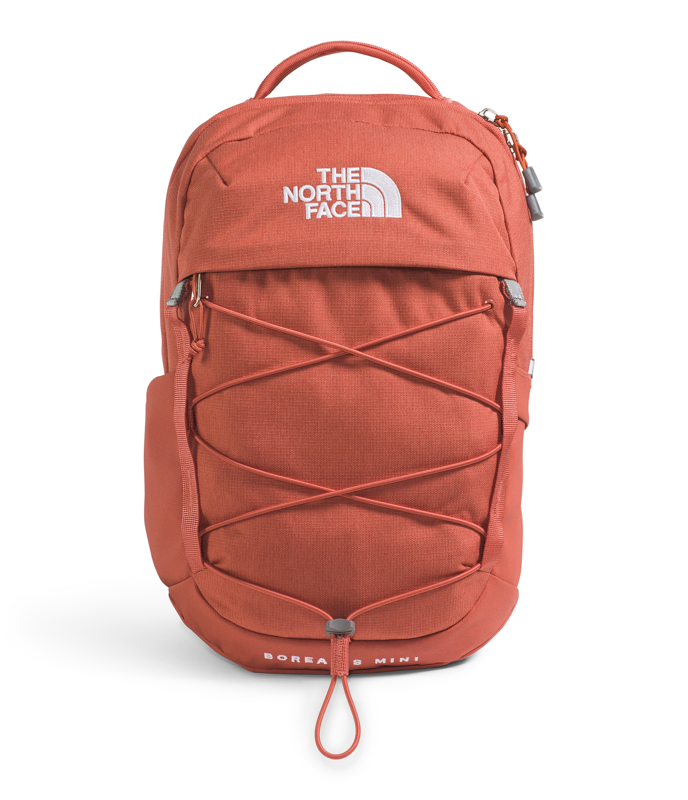 The North Face NF0A52SW Borealis Mini Backpack