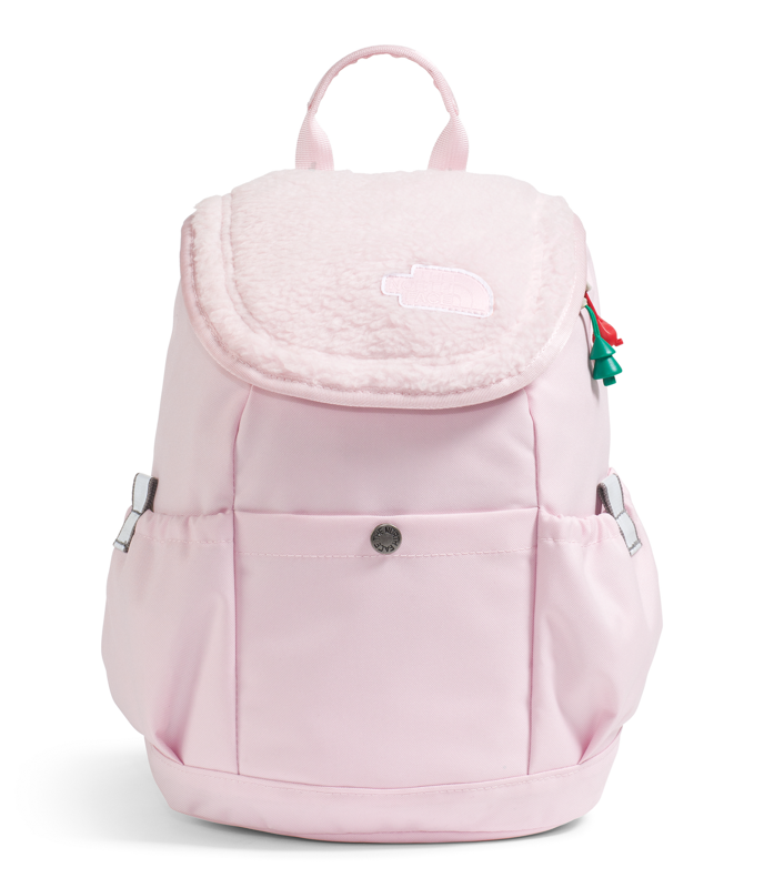 The North Face NF0A52VW Youth Mini Explorer