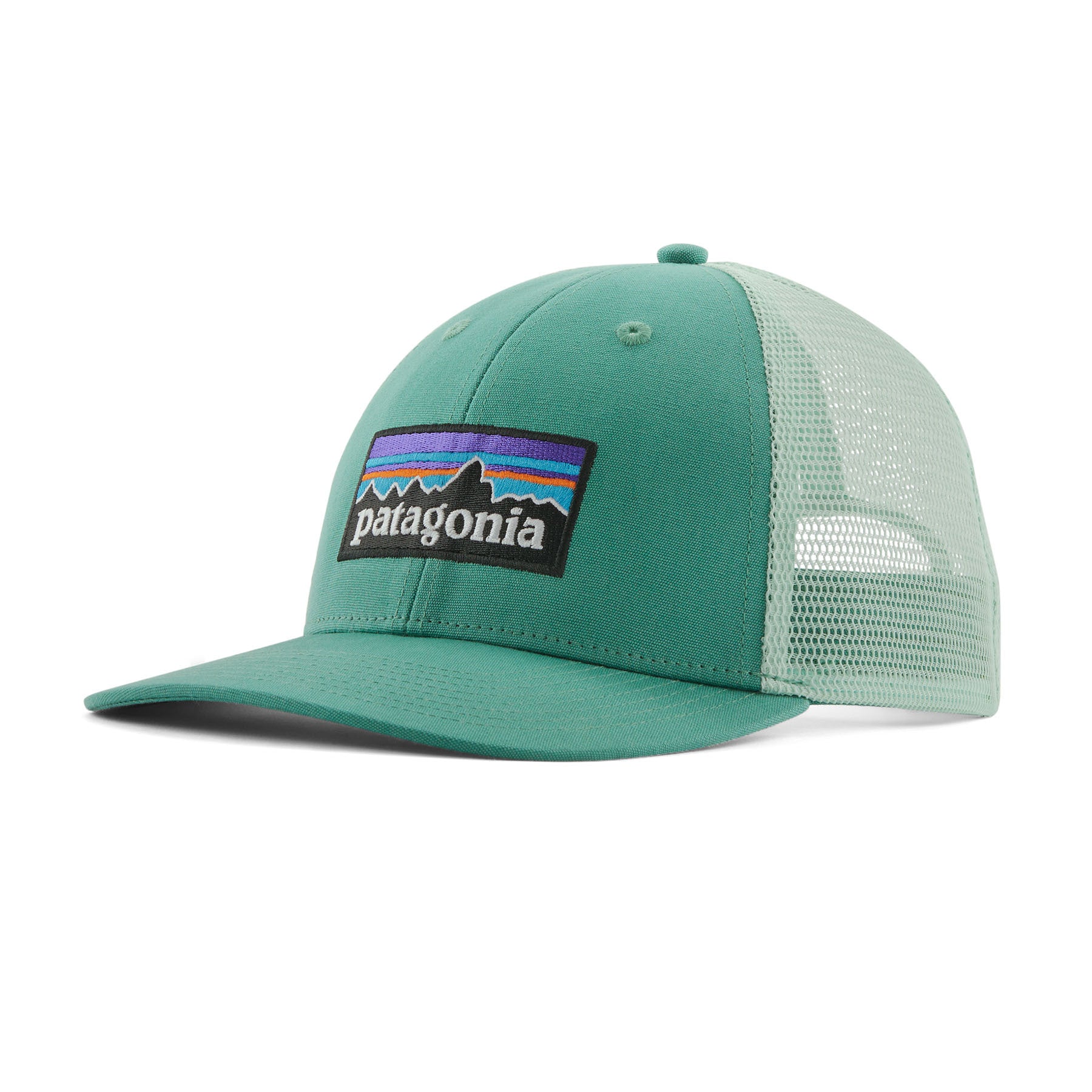 Patagonia 38283 P-6 Logo LoPro Trucker Hat