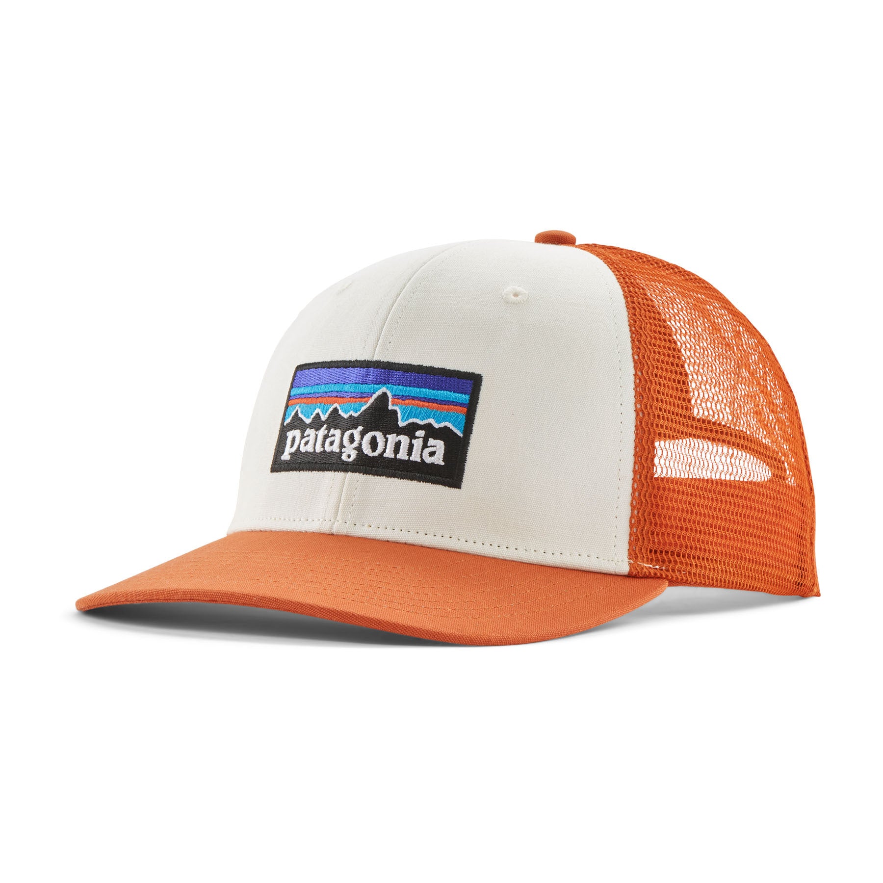 Patagonia 38289 P-6 Logo Trucker Hat