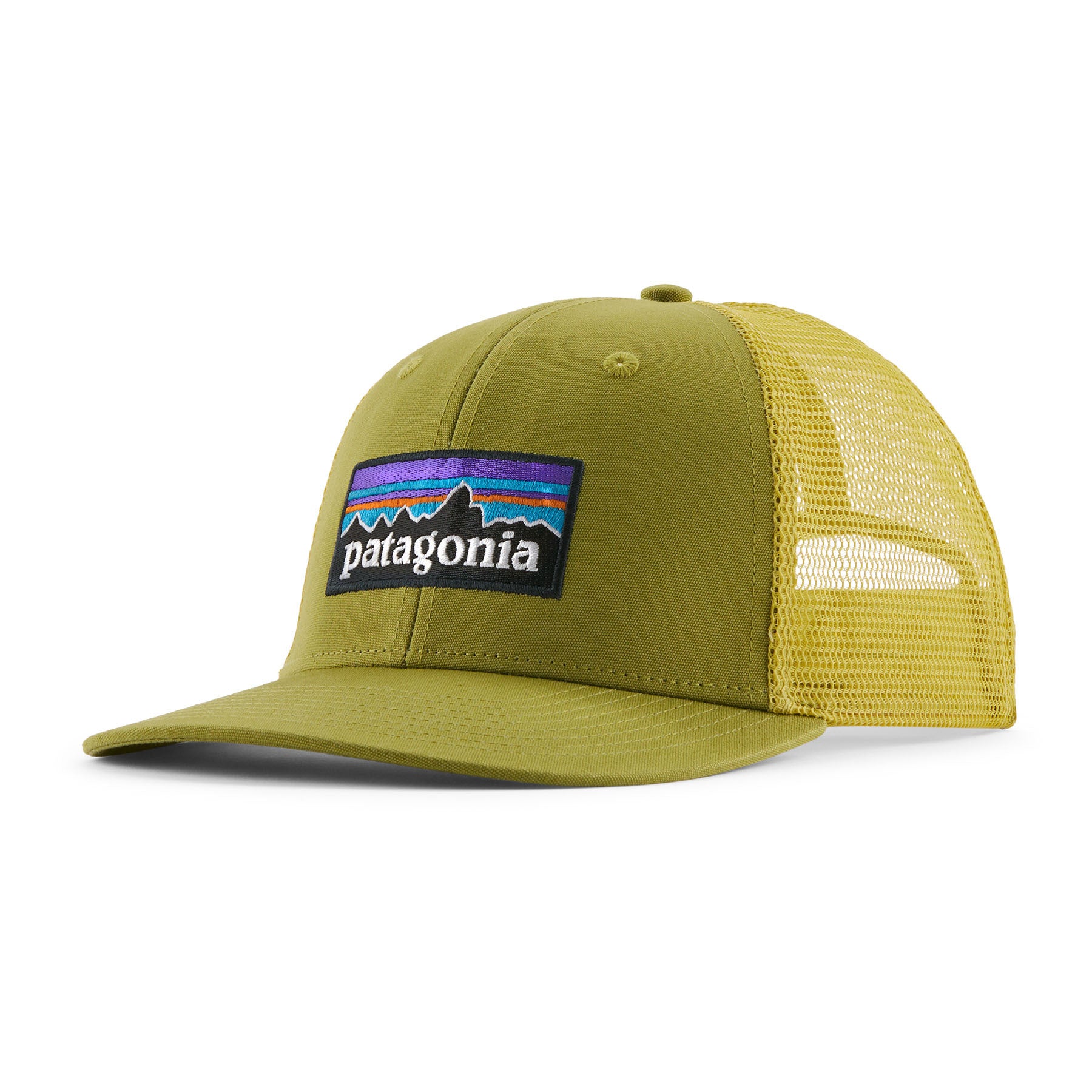 Patagonia 38289 P-6 Logo Trucker Hat
