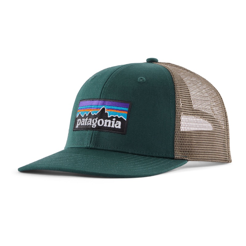 Patagonia 38289 P-6 Logo Trucker Hat