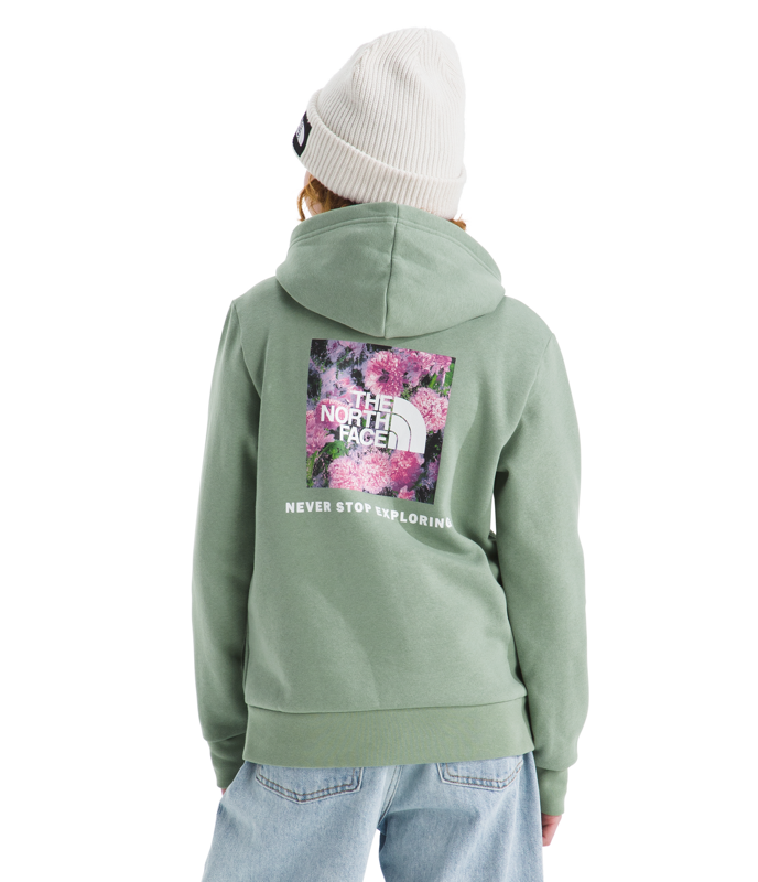 The North Face NF0A8CZC Teen Evolution NSE Pullover Hoodie-Graphic