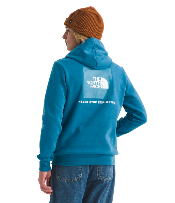 The North Face NF0A8CV5 Teen Evolution NSE Pullover Hoodie