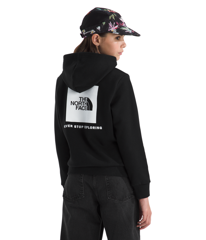 The North Face NF0A8CV5 Teen Evolution NSE Pullover Hoodie