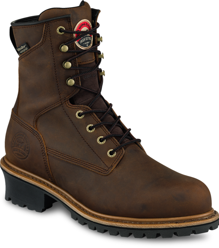 Irish 2025 setter 8383