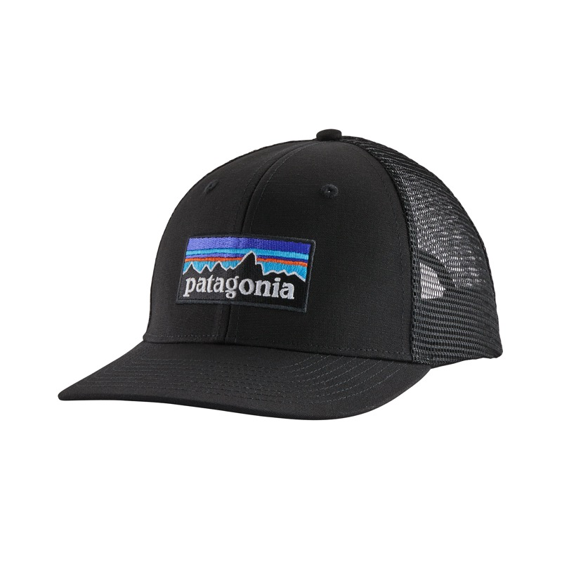 Patagonia 38289 P-6 Logo Trucker Hat