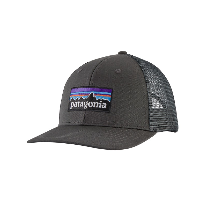 Patagonia 38289 P-6 Logo Trucker Hat