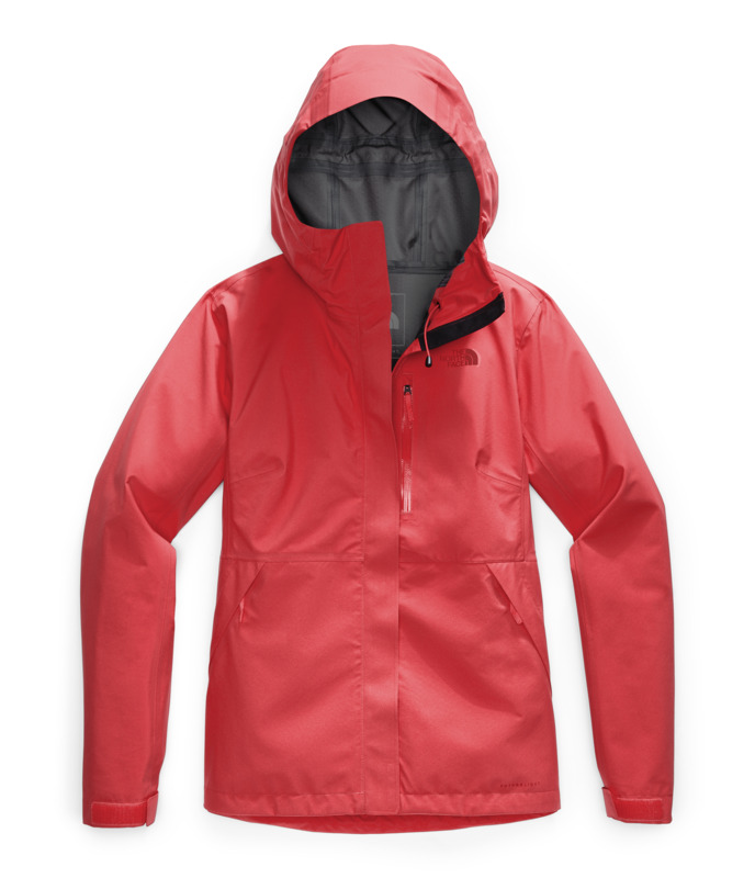 The north sales face dryzzle women's