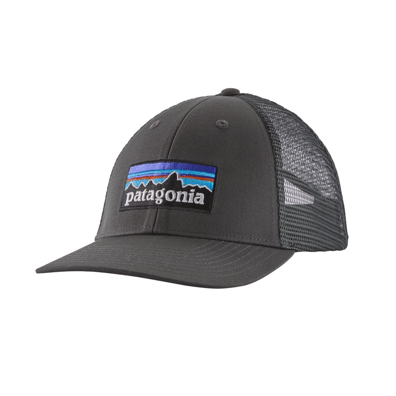 Patagonia 38283 P-6 Logo LoPro Trucker Hat