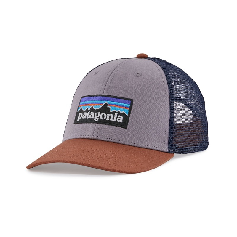 Patagonia 38283 P-6 Logo LoPro Trucker Hat