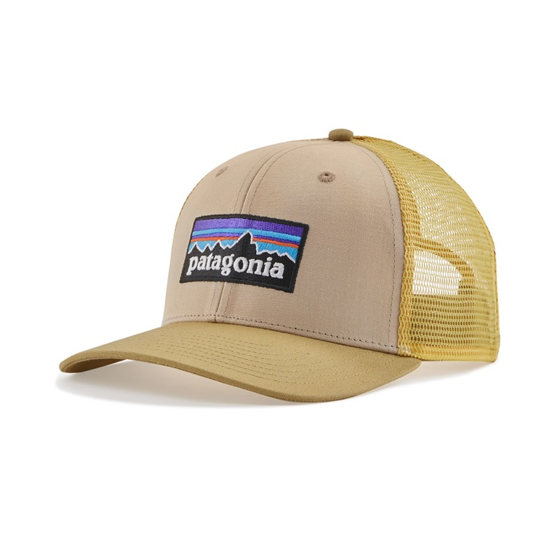 Patagonia 38289 P-6 Logo Trucker Hat