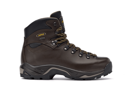 Asolo Womens TPS 520 GV Evo Chestnut Medium A11013CH