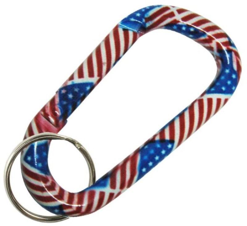 Bison CLIP ART - USA FLAG