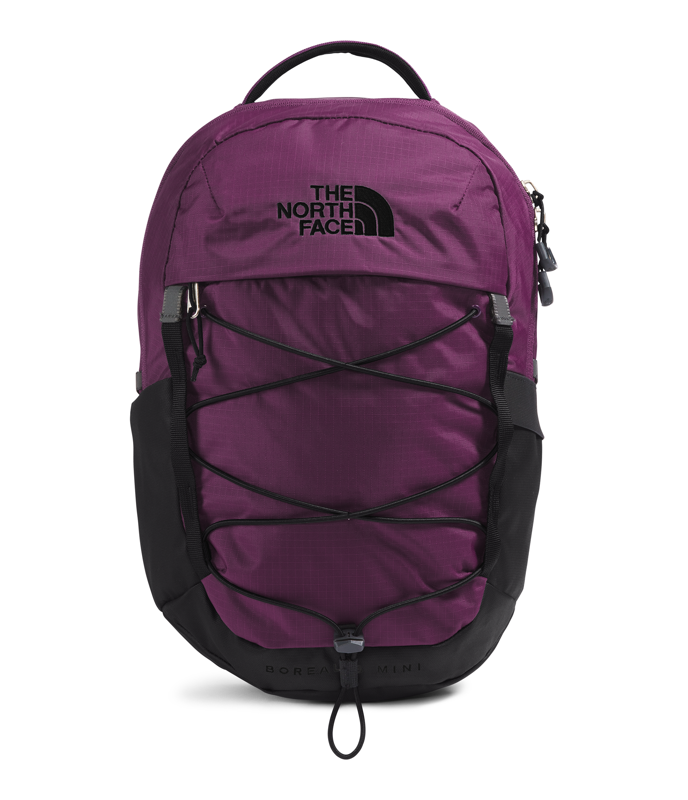 The North Face NF0A52SW Borealis Mini Backpack