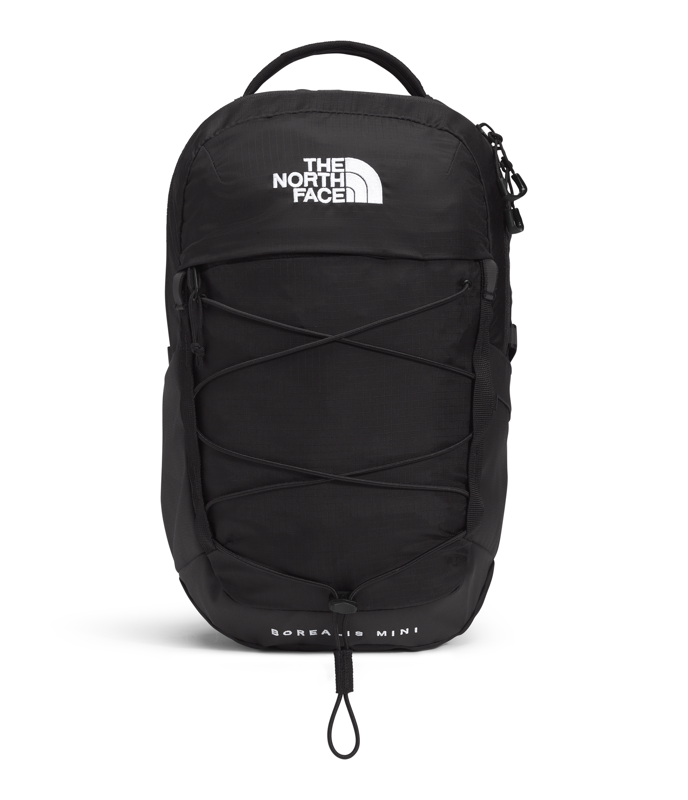 The North Face NF0A52SW Borealis Mini Backpack