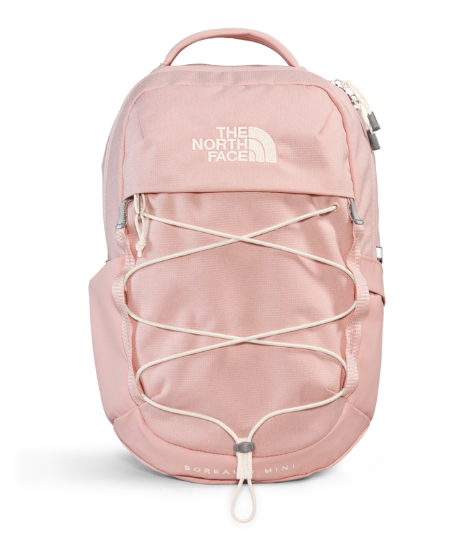 The North Face NF0A52SW Borealis Mini Backpack