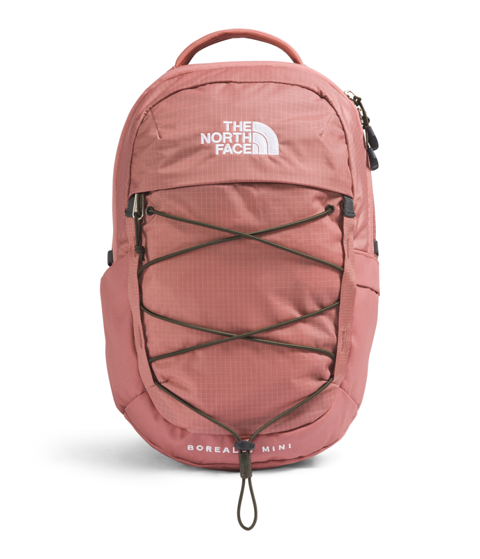 The North Face NF0A52SW Borealis Mini Backpack