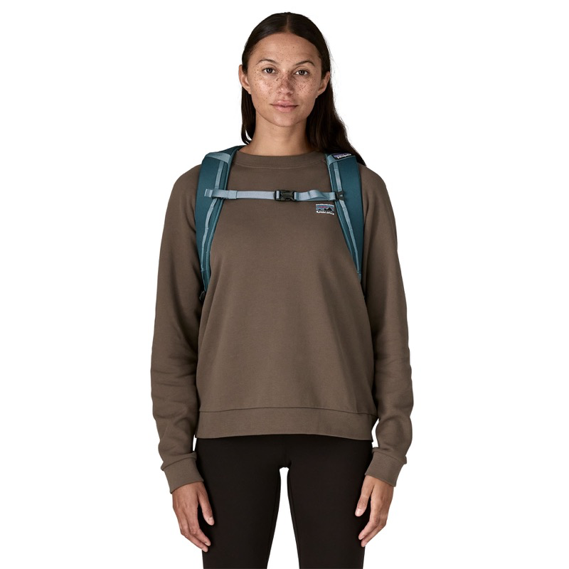 Patagonia 49298 Black Hole Pack 25L